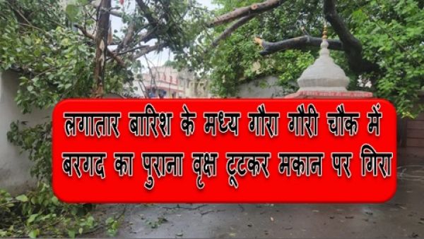लगातार बारिश के मध्य गौरा गौरी चौक में बरगद का पुराना वृक्ष टूटकर मकान पर गिरा
