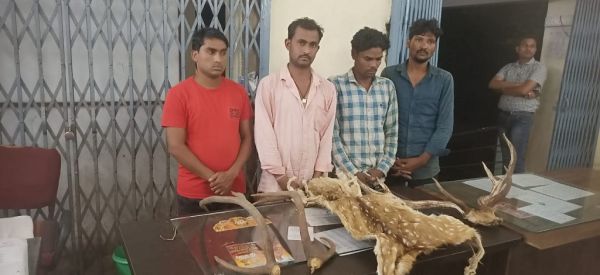 वन्यजीव हिरण के सिंग एवं खाल की तस्करी करते 04 तस्कर गिरफ्तार