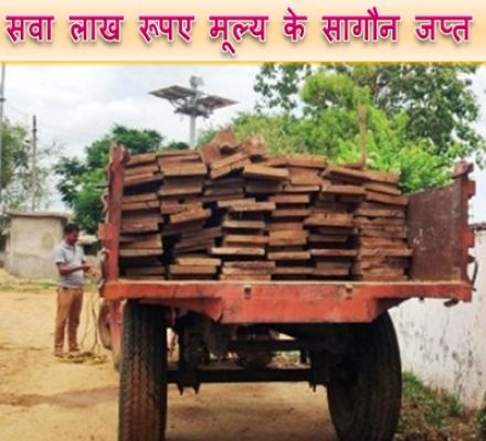 114 नग सागौन चिरान, लगभग सवा लाख रूपए मूल्य के जप्त
