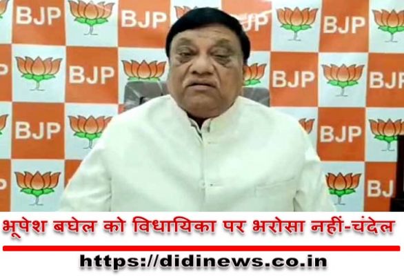 भूपेश बघेल को विधायिका पर भरोसा नहीं-चंदेल
