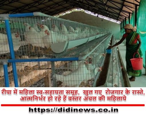 रीपा में महिला स्व-सहायता समूह, खुल गए रोजगार के रास्ते,आत्मनिर्भर हो रहे हैं बस्तर अंचल की महिलाये