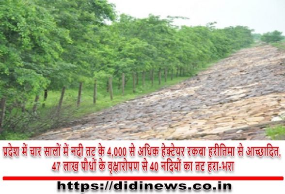 प्रदेश में चार सालों में नदी तट के 4,000 से अधिक हेक्टेयर रकबा हरीतिमा से आच्छादित, 47 लाख पौधों के वृक्षारोपण से 40 नदियों का तट हरा-भरा