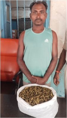 नशे के विरूद्ध जागरूकता अभियान: रायपुर पुलिस ने गांजा के साथ आरोपी को किया गिरफ्तार