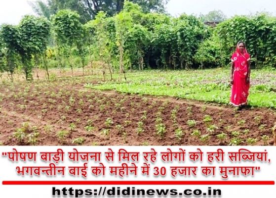 "पोषण बाड़ी योजना से मिल रहे लोगों को हरी सब्जियां, भगवन्तीन बाई को महीने में 30 हजार का मुनाफा"