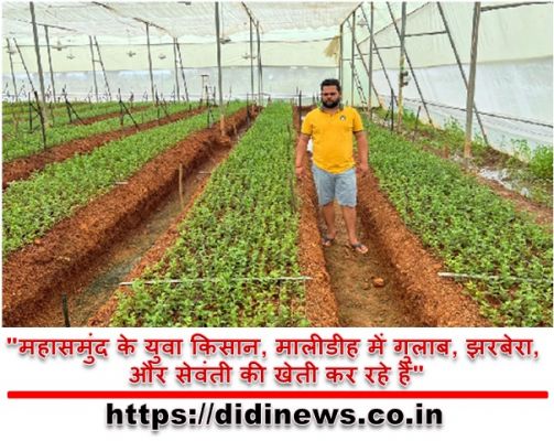 "महासमुंद के युवा किसान, मालीडीह में गुलाब, झरबेरा, और सेवंती की खेती कर रहे हैं"
