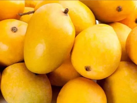 राजधानी में राष्ट्रीय आम महोत्सव 12 से 14 जून तक