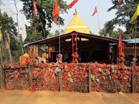 छत्तीसगढ़ : भनवारटंक का मरही माता मंदिर : येजो रेल लाइन के पार दीवार दिख रही है, वो मन्नतों के नारियलों से पट गई है