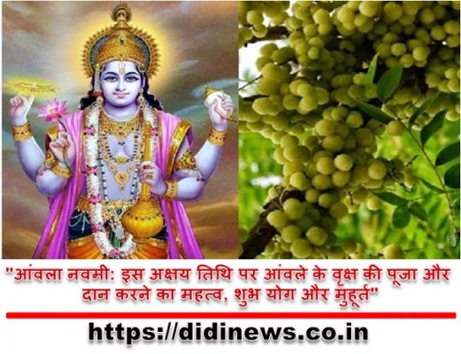 "आंवला नवमी: इस अक्षय तिथि पर आंवले के वृक्ष की पूजा और दान करने का महत्व, शुभ योग और मुहूर्त"
