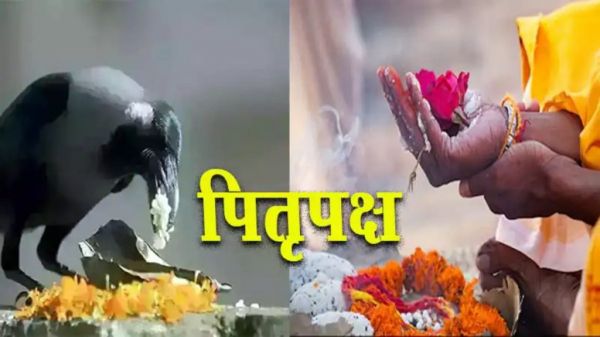 Pitra Paksha 2024 : पितृ पक्ष में न दिखे कौआं, तो इन जीव-जंतु को खिलाएं खाना&hellip;