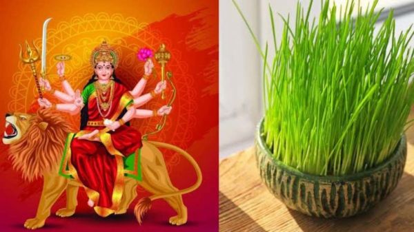 नवरात्रि में जौ बोन की परंपरा के बारे में आप क्या जानते हैं इसके पीछे की वजह&hellip;