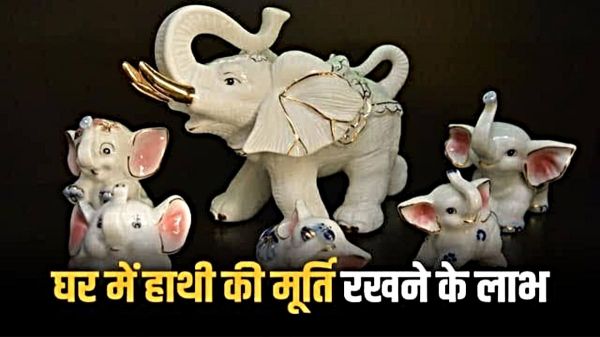 Vastu Tips: घर में चाहिए सुख, समृद्धि और सकारात्मकता तो घर ले आएं हाथी की ऐसी मूर्ति&hellip;