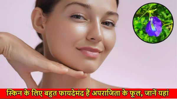 स्किन के लिए बहुत फायदेमंद हैं अपराजिता के फूल, यहां जानें इसे लगाने के फायदे&hellip;