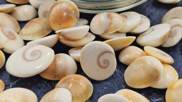 Gomati Chakra: दुर्लभ लेकिन चमत्कारी, जानिए इसके अद्भुत ज्योतिषीय लाभ&hellip;